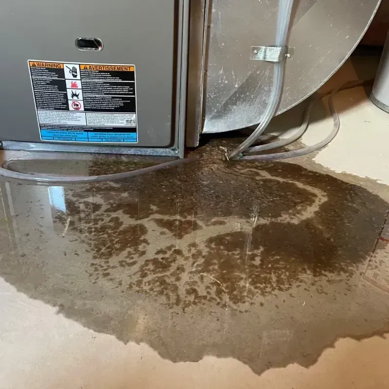 Appliance Leak Cleanup in Alice, TX